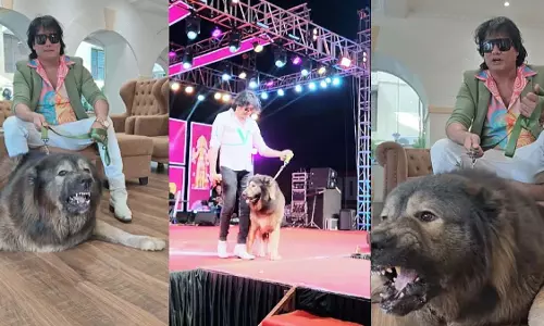भारतीय शख्स ने ख़रीदा दुनिया का सबसे महँगा कुत्ता, अब कर रहा है बम्पर कमाई भारतीय शख्स ने ख़रीदा दुनिया का सबसे महँगा कुत्ता, अब कर रहा है बम्पर कमाई
