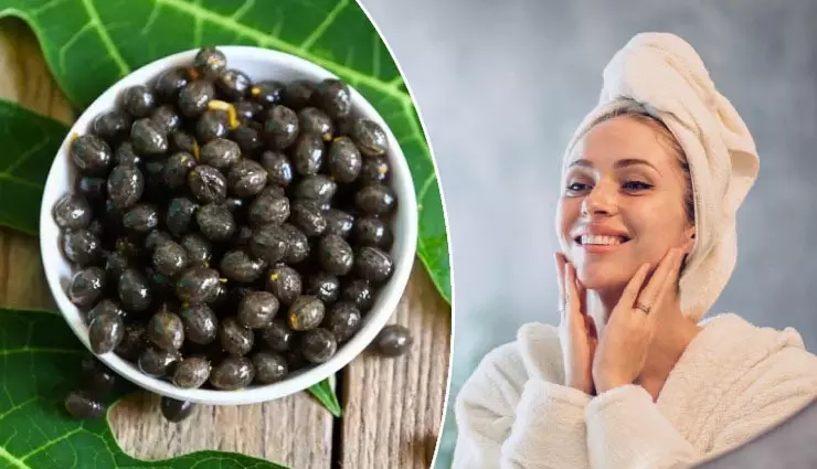 Skin Care: पपीते के बीजों से पाएं चांद सी निखरी त्वचा, ऐसे करें इस्तेमाल Skin Care: पपीते के बीजों से पाएं चांद सी निखरी त्वचा, ऐसे करें इस्तेमाल