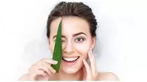Skin Care: गर्मियों में त्वचा में खुजली, एलोवेरा में ये चीजें मिलाकर तुरंत पाएं राहत Skin Care: गर्मियों में त्वचा में खुजली, एलोवेरा में ये चीजें मिलाकर तुरंत पाएं राहत