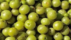 Health: विटामिन सी से भरपूर ये सुपरफूड, जानें कैसे करें इसका इस्तेमाल Health: विटामिन सी से भरपूर ये सुपरफूड, जानें कैसे करें इसका इस्तेमाल