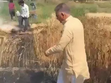 MP News : जब गेहूं की फसल बचाने मंत्री कूद पड़े खेत में MP News : जब गेहूं की फसल बचाने मंत्री कूद पड़े खेत में