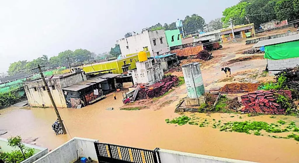 राज्य के कई हिस्सों में बारिश: ठंडी हवाएं राज्य के कई हिस्सों में बारिश: ठंडी हवाएं
