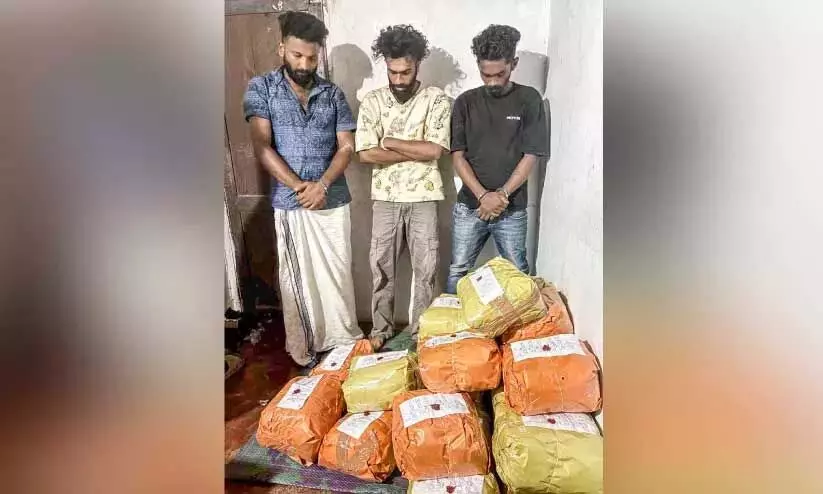 ऐकरापडी में भांग का शिकार; आरोपी रिमांड पर ऐकरापडी में भांग का शिकार; आरोपी रिमांड पर