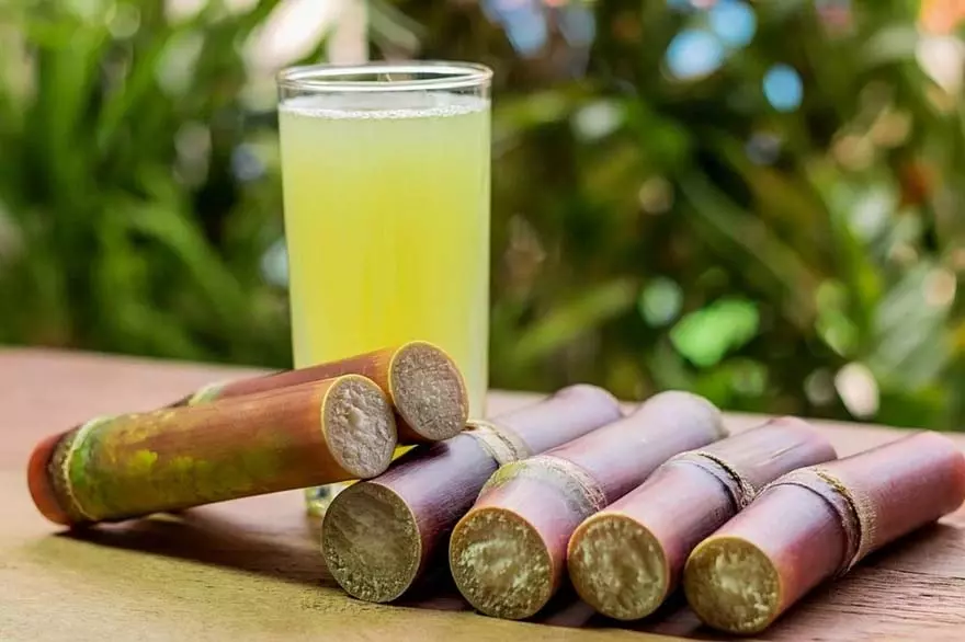Sugarcane juice : फायदे और साइड इफेक्ट्स जानना जरूरी Sugarcane juice : फायदे और साइड इफेक्ट्स जानना जरूरी