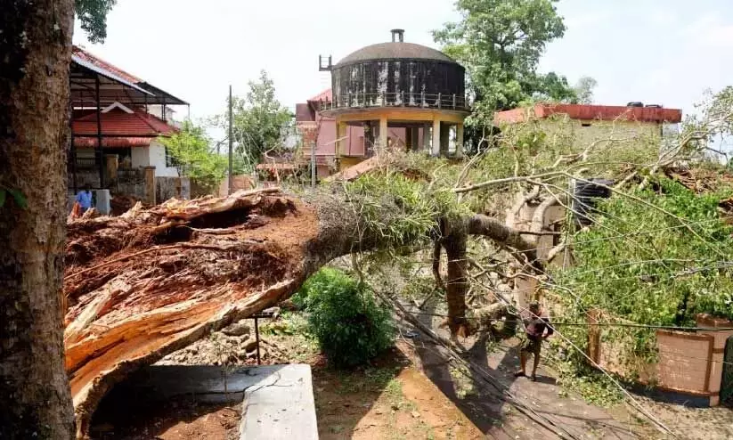 Kerala: हवा और बारिश से नष्ट हुए मकान Kerala: हवा और बारिश से नष्ट हुए मकान