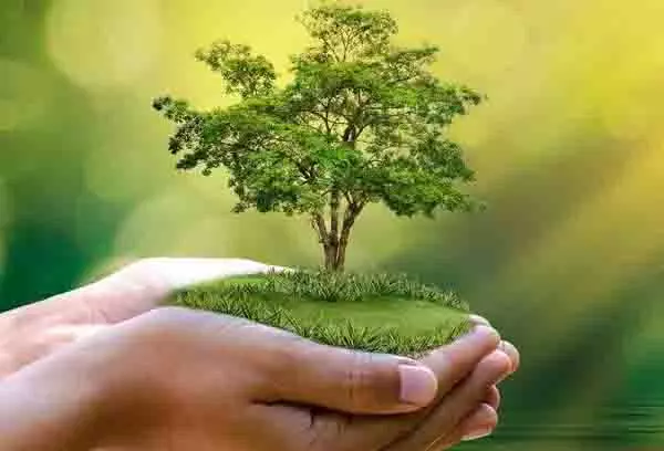 AI पर्यावरण कानून प्रवर्तन को बढ़ा सकता है, विशेषज्ञ AI पर्यावरण कानून प्रवर्तन को बढ़ा सकता है, विशेषज्ञ