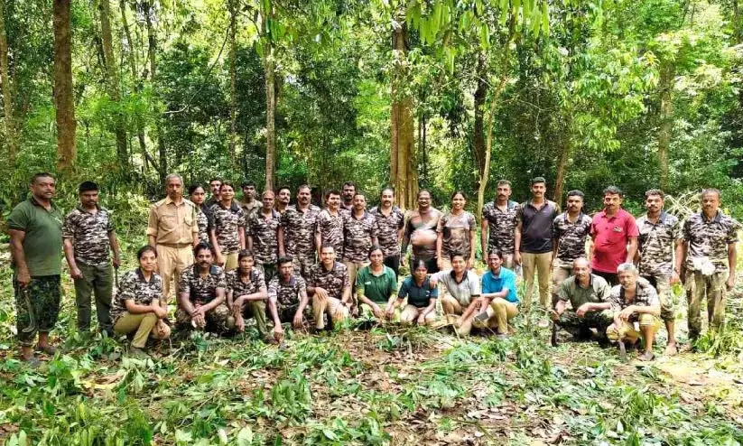 Kerala: वन्यजीव अभयारण्य से आक्रामक खरपतवारों को हटाया गया Kerala: वन्यजीव अभयारण्य से आक्रामक खरपतवारों को हटाया गया