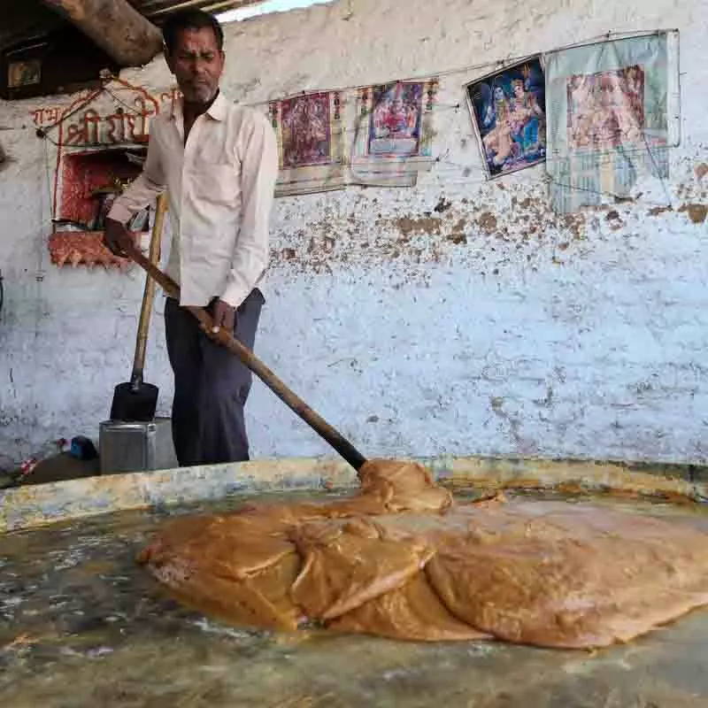 Paonta Sahib में गुड़ बनाने की चिरस्थायी कला Paonta Sahib में गुड़ बनाने की चिरस्थायी कला