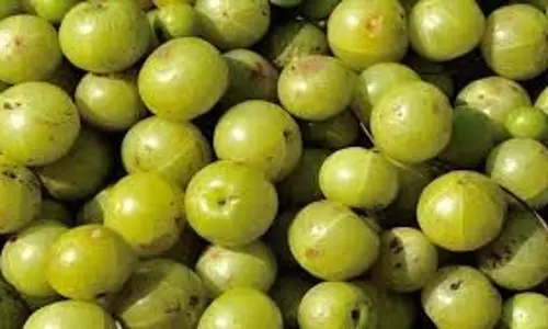 Health: विटामिन सी से भरपूर ये सुपरफूड, जानें कैसे करें इसका इस्तेमाल Health: विटामिन सी से भरपूर ये सुपरफूड, जानें कैसे करें इसका इस्तेमाल