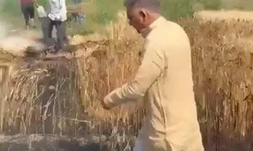 MP News : जब गेहूं की फसल बचाने मंत्री कूद पड़े खेत में MP News : जब गेहूं की फसल बचाने मंत्री कूद पड़े खेत में