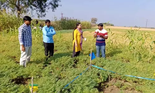 ASR में किसानों से फसल पैटर्न में विविधता लाने का आग्रह किया
