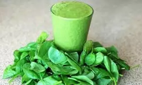Juices For Weight Loss: तेजी से वजन कम करने के लिए पिएं इन सब्जियों का जूस, पिघल जाएगी जिद्दी चर्बी