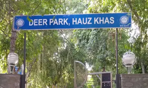 पार्क में पेड़ से लटका मिला युवक-युवती का शव, जांच में जुटी पुलिस पार्क में पेड़ से लटका मिला युवक-युवती का शव, जांच में जुटी पुलिस