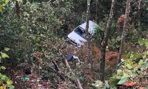 मिरिक में SUV खाई में गिरी, एक की मौत