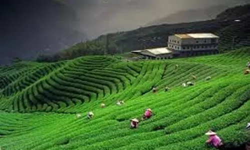 Travel: गर्मियों में कहां घूमने का प्लान बनाएं, भारत की ये जगहें हैं बेहद खास Travel: गर्मियों में कहां घूमने का प्लान बनाएं, भारत की ये जगहें हैं बेहद खास