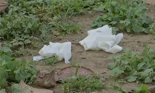 Deer Park incident: स्थानीय लोगों ने संभावित गड़बड़ी पर चिंता जताई, सख्त सजा की मांग की Deer Park incident: स्थानीय लोगों ने संभावित गड़बड़ी पर चिंता जताई, सख्त सजा की मांग की