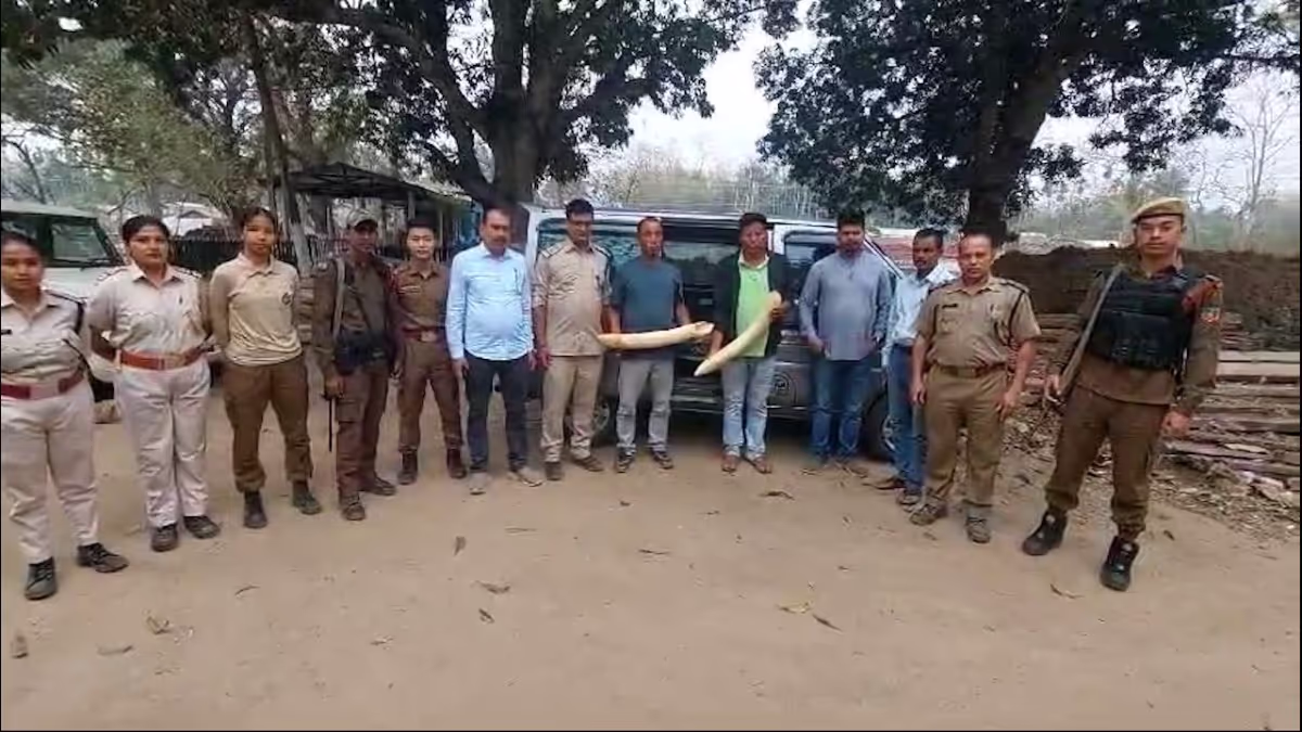 Assam : बामुनीगांव में हाथी दांत की तस्करी करने वाले गिरोह का भंडाफोड़, दो गिरफ्तार