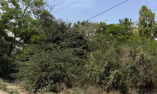 BBMP खाली जगह: सफाई के लिए कोई कार्रवाई नहीं की गई