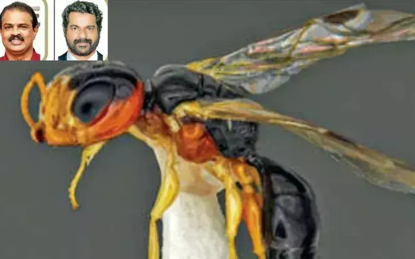 Kerala : वैज्ञानिक ने नव खोजी गई ततैया प्रजाति का नाम अपने सेवानिवृत्त शिक्षक के नाम पर रखा Kerala : वैज्ञानिक ने नव खोजी गई ततैया प्रजाति का नाम अपने सेवानिवृत्त शिक्षक के नाम पर रखा