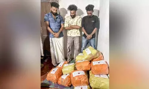 ऐकरापडी में भांग का शिकार; आरोपी रिमांड पर