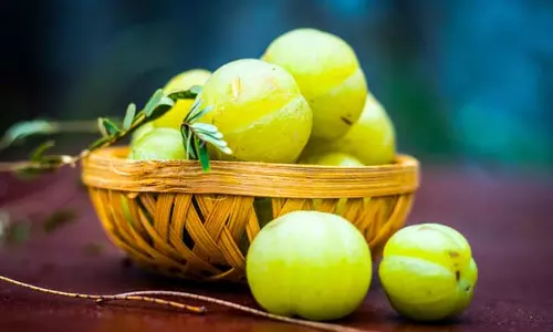 Health Tips : आंवला जूस और काली मिर्च हैं बेहद फायदेमंद Health Tips : आंवला जूस और काली मिर्च हैं बेहद फायदेमंद