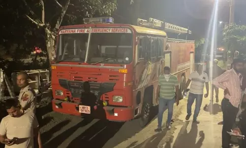 Haryana बागवानी नर्सरी विधेयक की व्याख्या मुख्य विशेषताएं और दंड