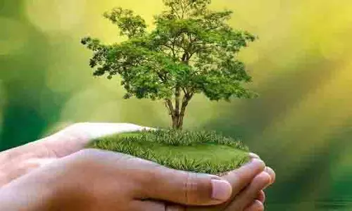 AI पर्यावरण कानून प्रवर्तन को बढ़ा सकता है, विशेषज्ञ AI पर्यावरण कानून प्रवर्तन को बढ़ा सकता है, विशेषज्ञ