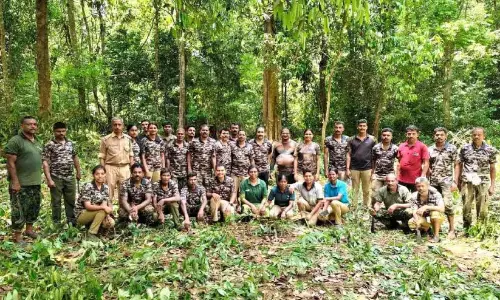 Kerala: वन्यजीव अभयारण्य से आक्रामक खरपतवारों को हटाया गया
