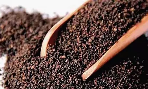 FDA ने राज्य भर में होटलों, मेस और बेकरियों पर छापे मारे; चाय पाउडर और मसालों में मिलावट