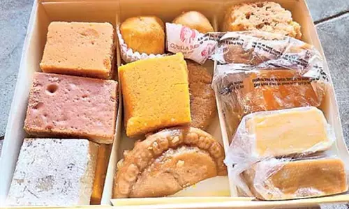 Telangana: कलेक्टर मुजम्मिल खान ने गर्ल प्राइड नामक एक अभिनव कार्यक्रम का शुभारंभ किया