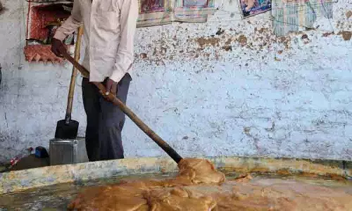 Paonta Sahib में गुड़ बनाने की चिरस्थायी कला