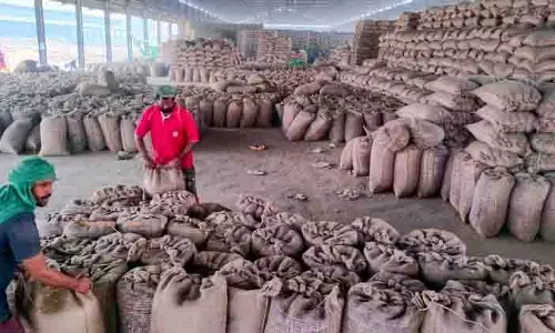 Dalit, अल्पसंख्यक संगठन जरूरतमंदों के बीच वितरण अनुपात