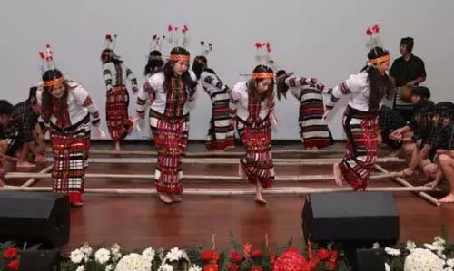 Sharda विश्वविद्यालय में 8वें पूर्वोत्तर सांस्कृतिक महोत्सव का आयोजन