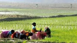 Telangana: महिला किसानों को मिली कृषि मशीनरी पर 50% सब्सिडी Telangana: महिला किसानों को मिली कृषि मशीनरी पर 50% सब्सिडी