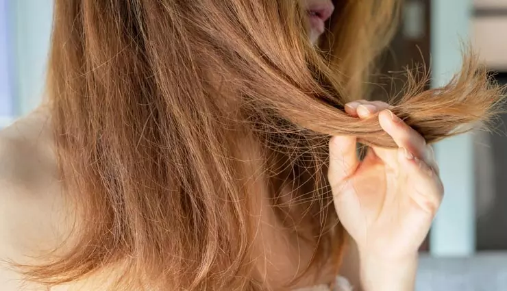 Hair Care: ज्यादा बाल झड़ने से आपके बाल हो रहे हैं डैमेज, तो हेयर केयर रूटीन में कॉफी का करें इस्तेमाल, होगा फायदा Hair Care: ज्यादा बाल झड़ने से आपके बाल हो रहे हैं डैमेज, तो हेयर केयर रूटीन में कॉफी का करें इस्तेमाल, होगा फायदा