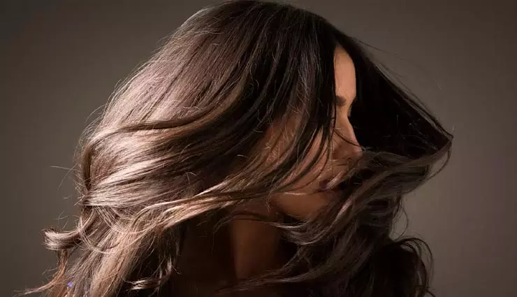 Hair Care: रूखे और झड़ते बालों से पाना चाहते हैं छुटकारा, इस जादुई तेल से करें मसाज, रुक जाएंगे बाल Hair Care: रूखे और झड़ते बालों से पाना चाहते हैं छुटकारा, इस जादुई तेल से करें मसाज, रुक जाएंगे बाल
