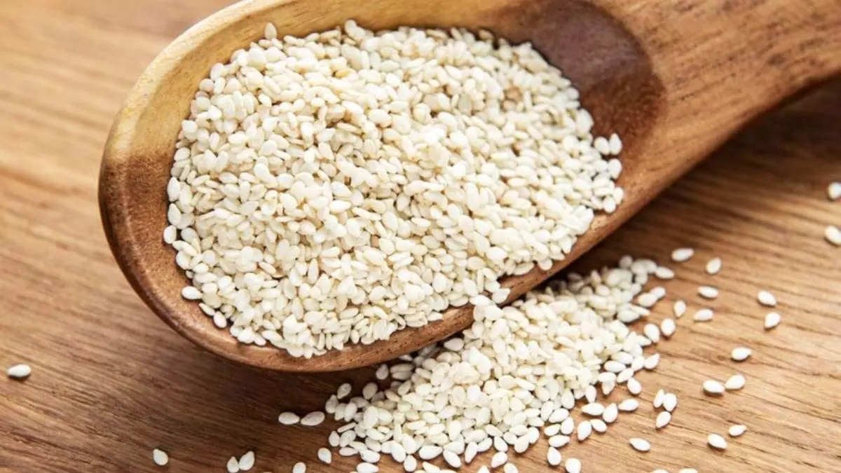 Diet Tips : डाइट में शामिल करें सफेद तिल, होंगे चौकाने वाले फायदे Diet Tips : डाइट में शामिल करें सफेद तिल, होंगे चौकाने वाले फायदे