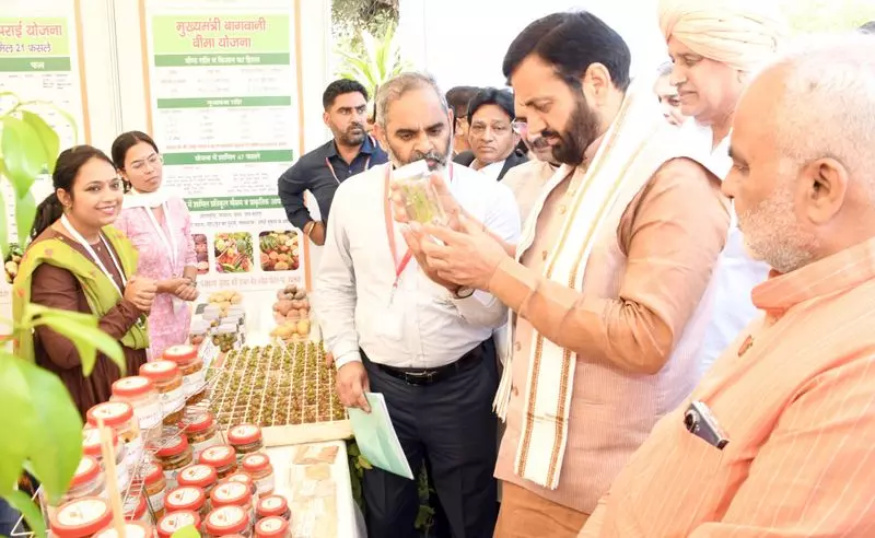 Haryana : मुख्यमंत्री ने बागवानी किसानों के लिए रियायतों की घोषणा की Haryana : मुख्यमंत्री ने बागवानी किसानों के लिए रियायतों की घोषणा की