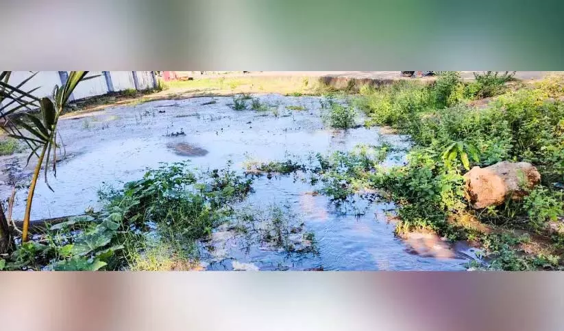 Kerala: राष्ट्रीय राजमार्ग निर्माण कंपनी की लापरवाही के कारण पेयजल बर्बाद Kerala: राष्ट्रीय राजमार्ग निर्माण कंपनी की लापरवाही के कारण पेयजल बर्बाद