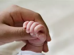 Noida: प्रसव के दौरान जच्चा-बच्चा की मौत, महिला डॉक्टर व अस्पताल का प्रबंधक गिरफ्तार Noida: प्रसव के दौरान जच्चा-बच्चा की मौत, महिला डॉक्टर व अस्पताल का प्रबंधक गिरफ्तार