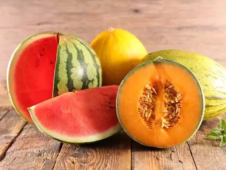 Healthy Weight Loss : वजन घटाने के लिए तरबूज या खरबूजा? जानें कौन सा है बेहतर Healthy Weight Loss : वजन घटाने के लिए तरबूज या खरबूजा? जानें कौन सा है बेहतर