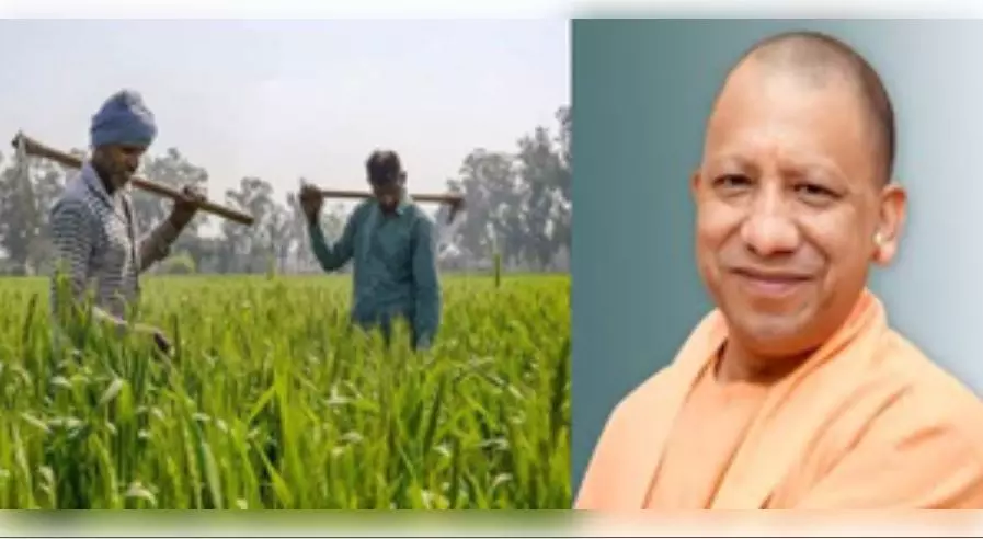 Lucknow: गन्ना किसानों के भुगतान में आठ वर्ष में बना रिकॉर्ड Lucknow: गन्ना किसानों के भुगतान में आठ वर्ष में बना रिकॉर्ड