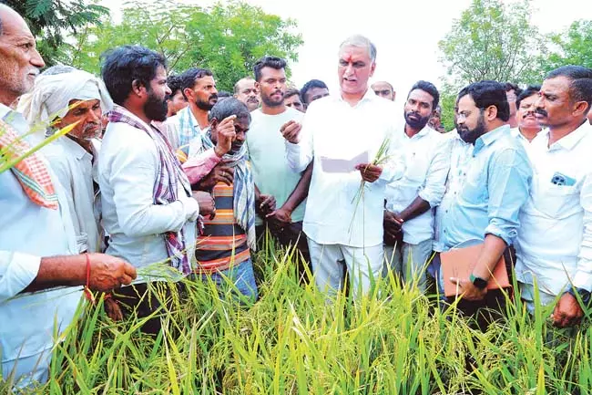 किसानों को वित्तीय सहायता प्रदान करे जिनकी फसलें राज्य भर में ओलावृष्टि के कारण बर्बाद हुई : Harish Rao किसानों को वित्तीय सहायता प्रदान करे जिनकी फसलें राज्य भर में ओलावृष्टि के कारण बर्बाद हुई : Harish Rao
