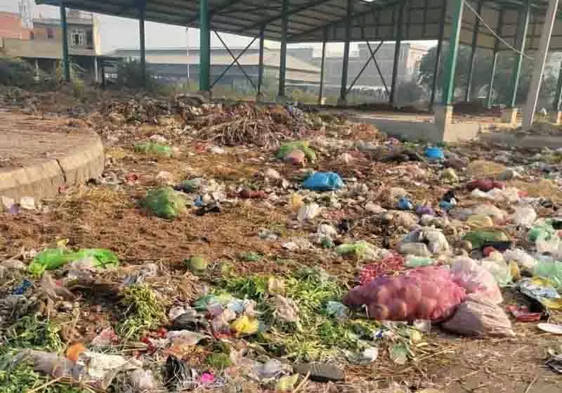 NGT ने मंडी बोर्ड के DGM को दो सप्ताह में कार्रवाई करने और अगली सुनवाई में पेश होने का निर्देश दिया NGT ने मंडी बोर्ड के DGM को दो सप्ताह में कार्रवाई करने और अगली सुनवाई में पेश होने का निर्देश दिया