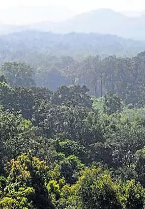 10 वर्षों में विकास परियोजनाओं के लिए 1,734 वर्ग किलोमीटर वन भूमि डायवर्ट:Govt. data 10 वर्षों में विकास परियोजनाओं के लिए 1,734 वर्ग किलोमीटर वन भूमि डायवर्ट:Govt. data