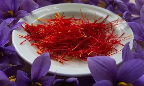 खेतों से प्रसिद्धि तक: राष्ट्रीय मिशन के तहत कश्मीर का केसर फल-फूल रहा