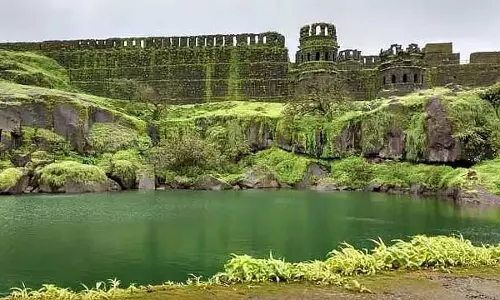 रायगढ़ किले में कुत्ते का स्मारक: राजपरिवार ने हटाने की मांग की
