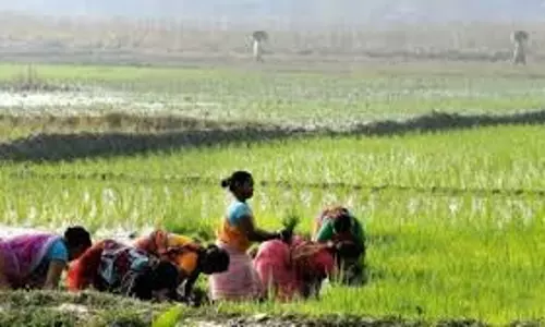 Telangana: महिला किसानों को मिली कृषि मशीनरी पर 50% सब्सिडी Telangana: महिला किसानों को मिली कृषि मशीनरी पर 50% सब्सिडी