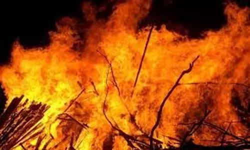 MP News:  जंगल में भीषण  आग,कर्मचारियों ने गीली टहनियों से बुझाई