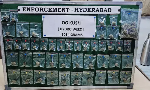 हैदराबाद में OG कुश गांजा बेचने के आरोप में दो लोगों को गिरफ्तार किया गया